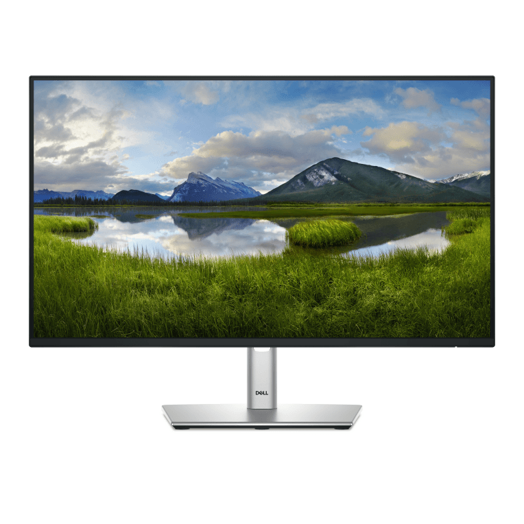 DELL Pro Plus P2425HE pantalla para PC 60,5 cm (23.8") 1920 x 1080 Pixeles Full HD LCD Negro