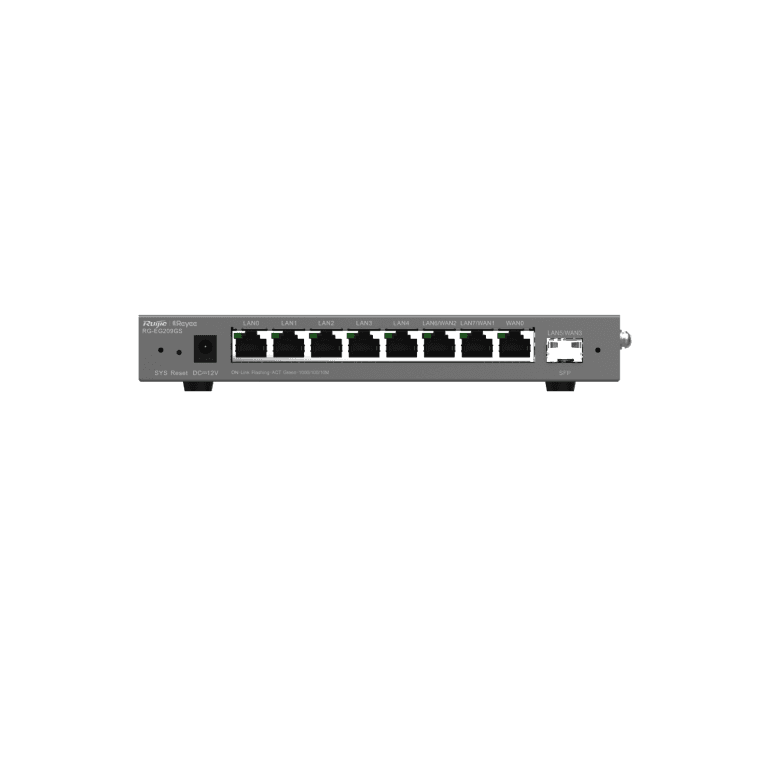 Ruijie Networks RG-EG209GS router Gigabit Ethernet Gris